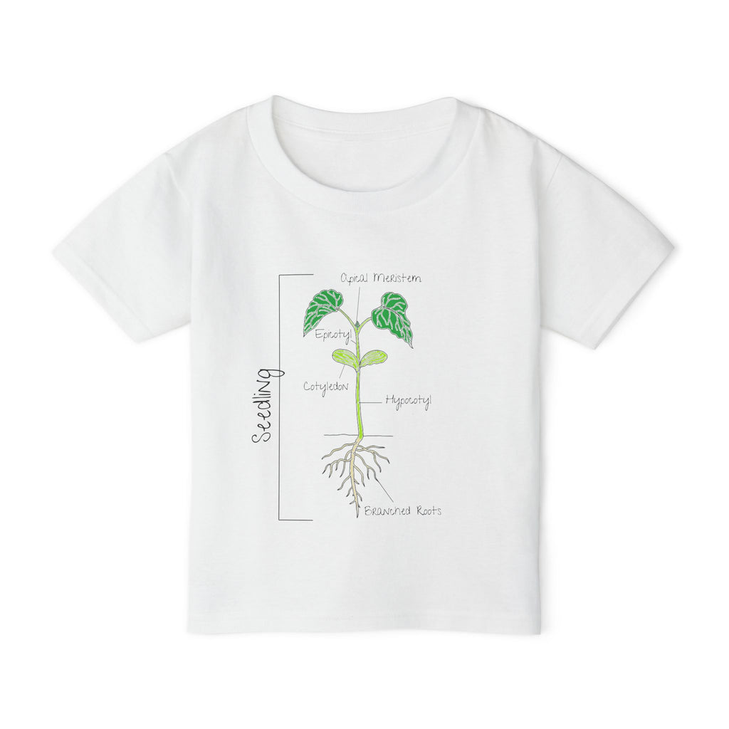 Flower Anatomy - Toddler - Family T-Shirt Set — Botanical Plant Anatomy Tee