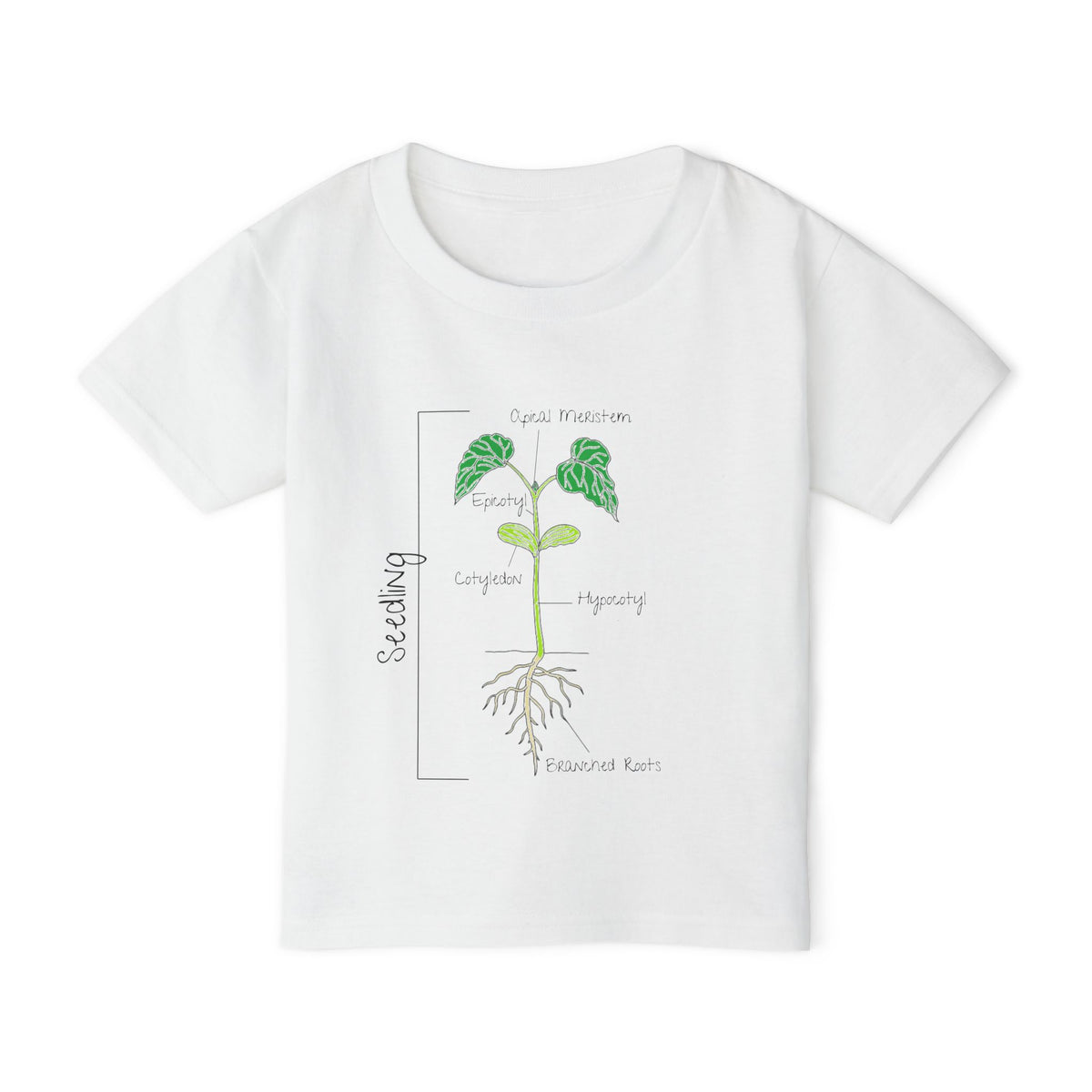 Flower Anatomy - Toddler - Family T-Shirt Set — Botanical Plant Anatomy Tee