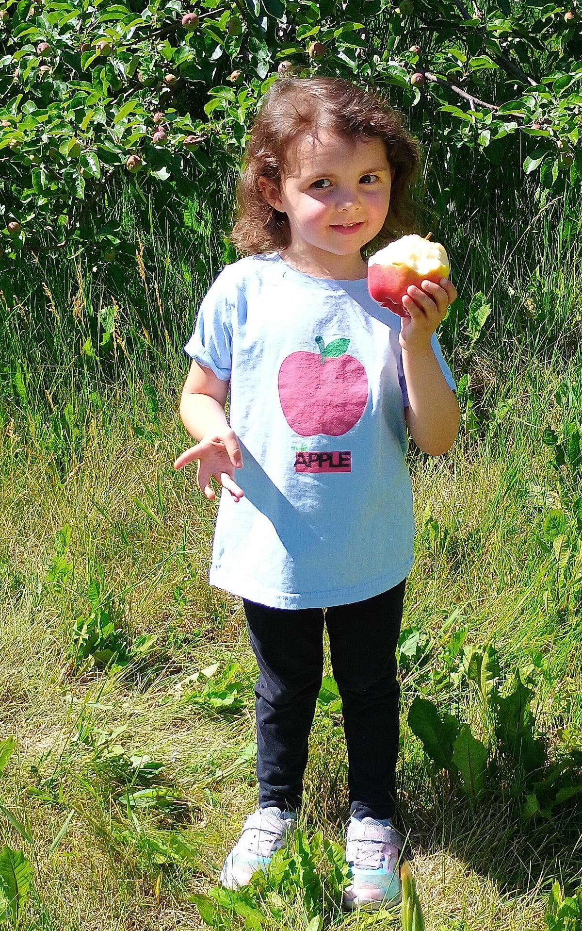 Toddler Apple Tee — Cute Red Apple Graphic Shirt for Dad's & Kids - Family Shirt Set