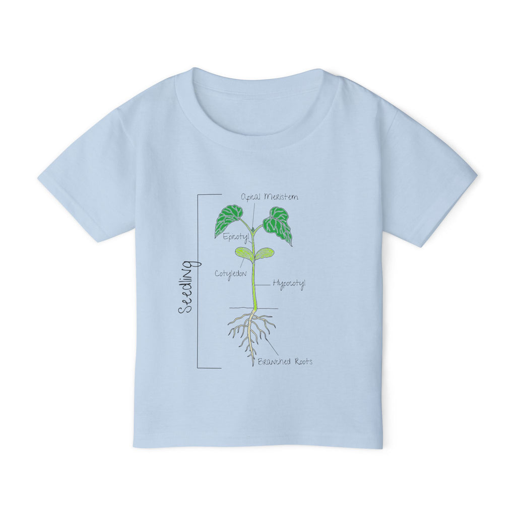 Flower Anatomy - Toddler - Family T-Shirt Set — Botanical Plant Anatomy Tee