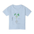 Flower Anatomy - Toddler - Family T-Shirt Set — Botanical Plant Anatomy Tee