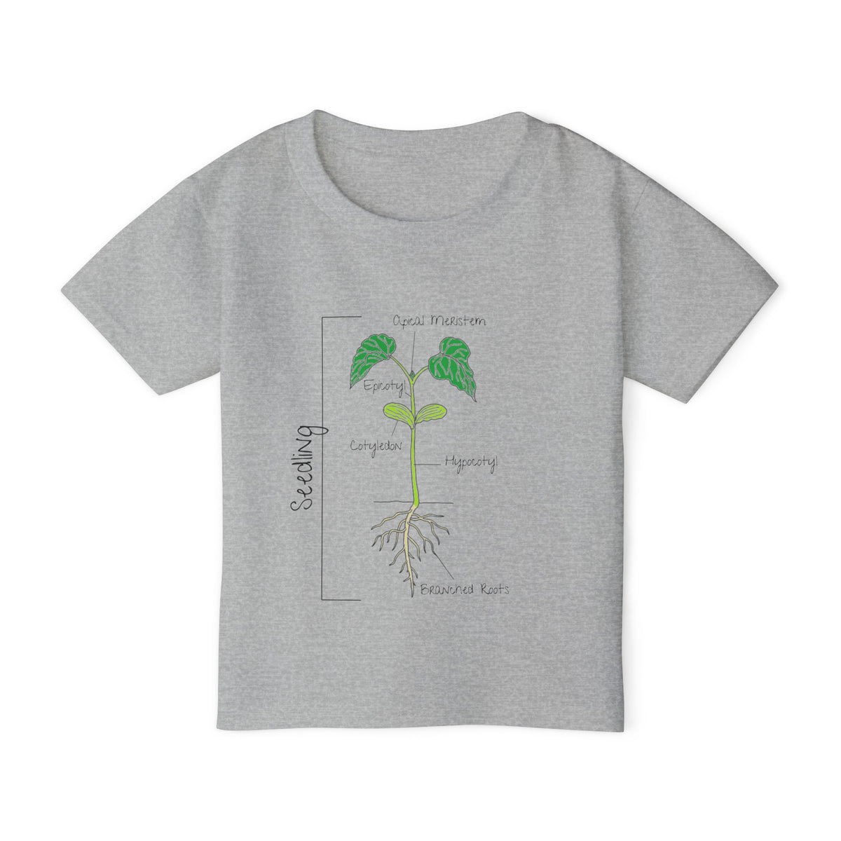 Flower Anatomy - Toddler - Family T-Shirt Set — Botanical Plant Anatomy Tee