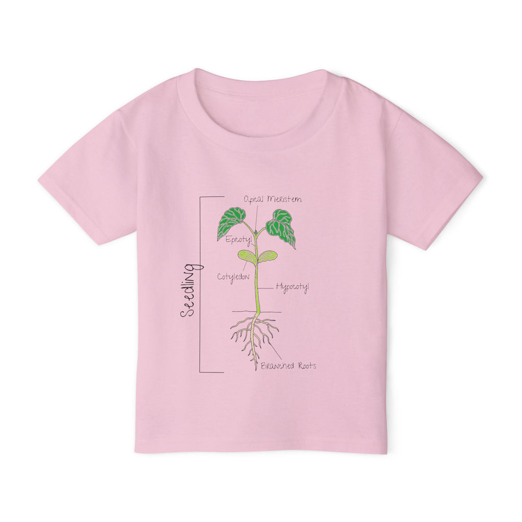 Flower Anatomy - Toddler - Family T-Shirt Set — Botanical Plant Anatomy Tee