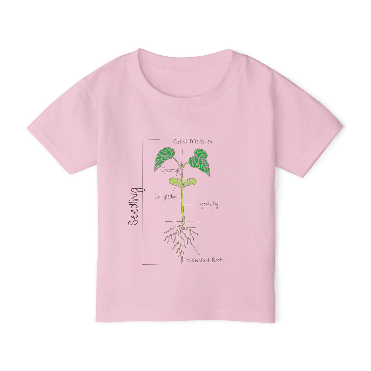 Flower Anatomy - Toddler - Family T-Shirt Set — Botanical Plant Anatomy Tee